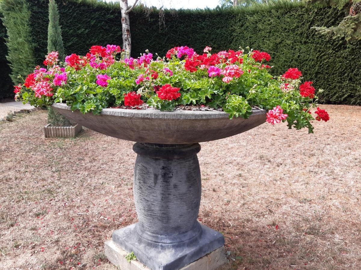 La Ferme De Capucine Bed and Breakfast Culhat Eksteriør billede